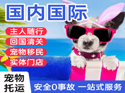 哈尔滨太平机场物流国际宠物托运 【国